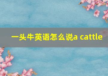 一头牛英语怎么说a cattle